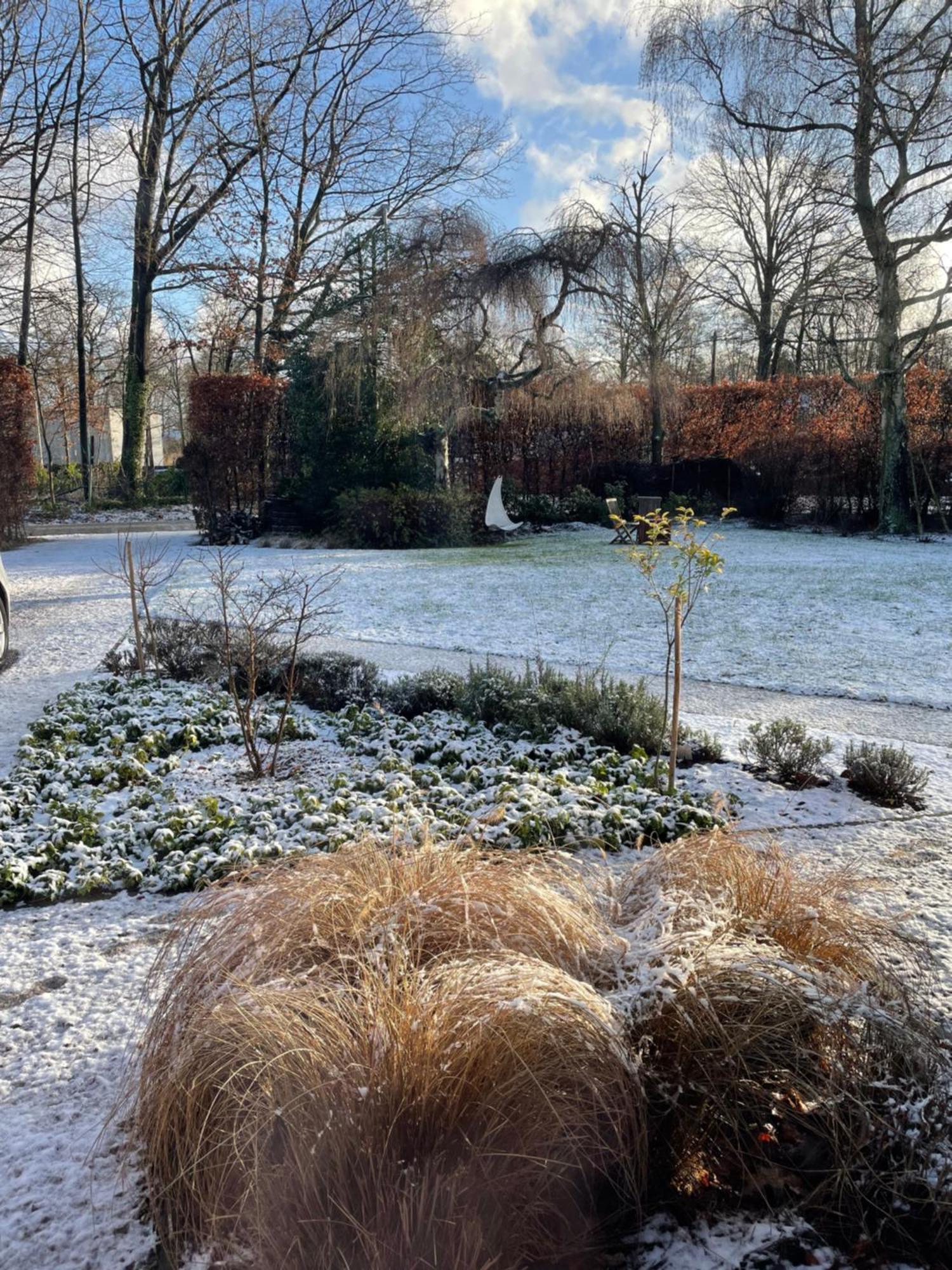 De Graslelie Schoten Exterior foto